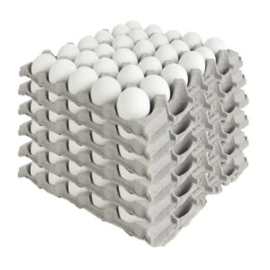 Huevos Extra Blancos (100 Unidades)