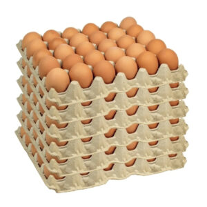 Huevos Extra Color De Gallinas Libre 180 unidades