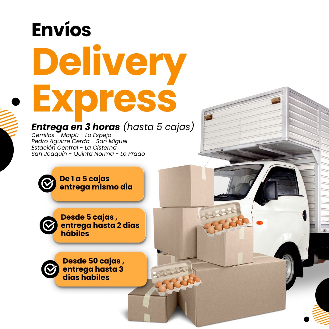 Huevos Súper Blancos 100 Unidades - Imagen 2