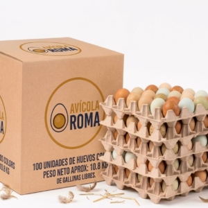 Huevos Extra Color De Gallinas Libre 100 unidades